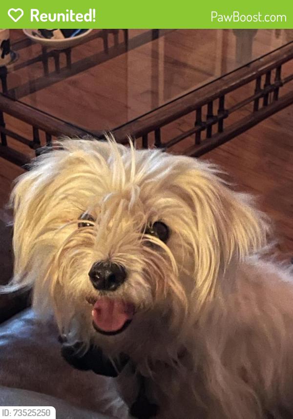 Reunited Male Dog last seen Near and River Oak Drive, Kaufman, TX 75142