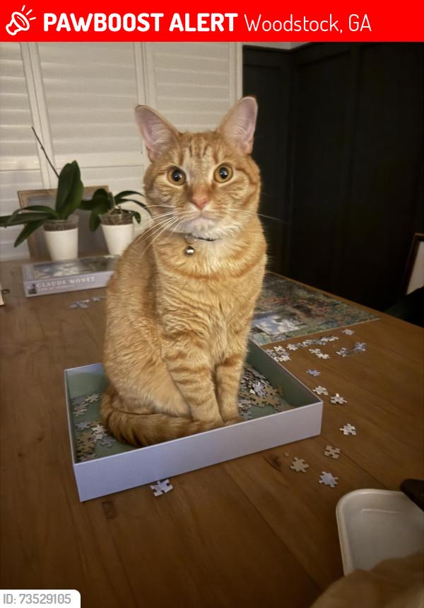 Lost Male Cat last seen Bent oak lane and bent creek drive, Woodstock, GA 30066