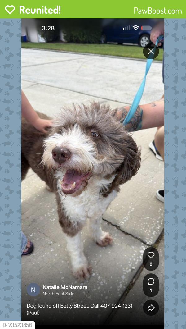 Reunited Female Dog last seen Betty and Ardmore, Goldenrod, FL 32792