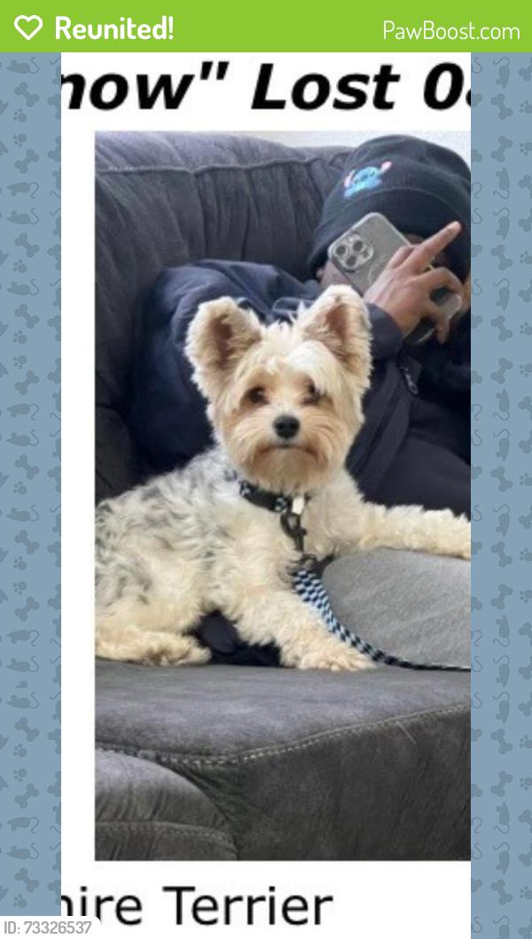 Reunited Male Dog last seen Near foster ln killeen tx 76549, Killeen, TX 76549