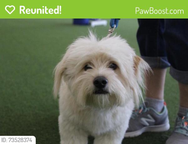Reunited Male Dog last seen Oak Ridge and Water Oak Drive, Plano, TX 75025