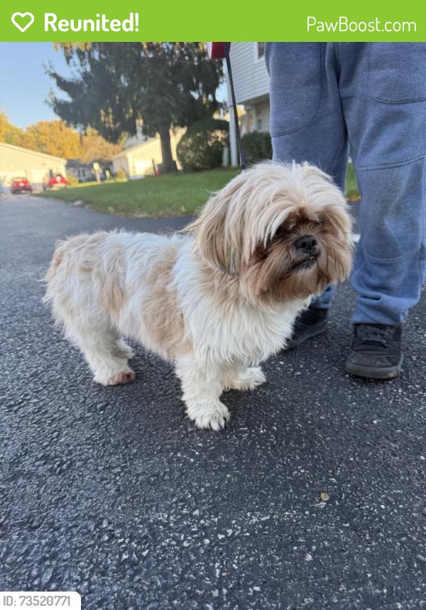 Reunited Female Dog last seen Ivy Glen circle, Aurora, IL 60506