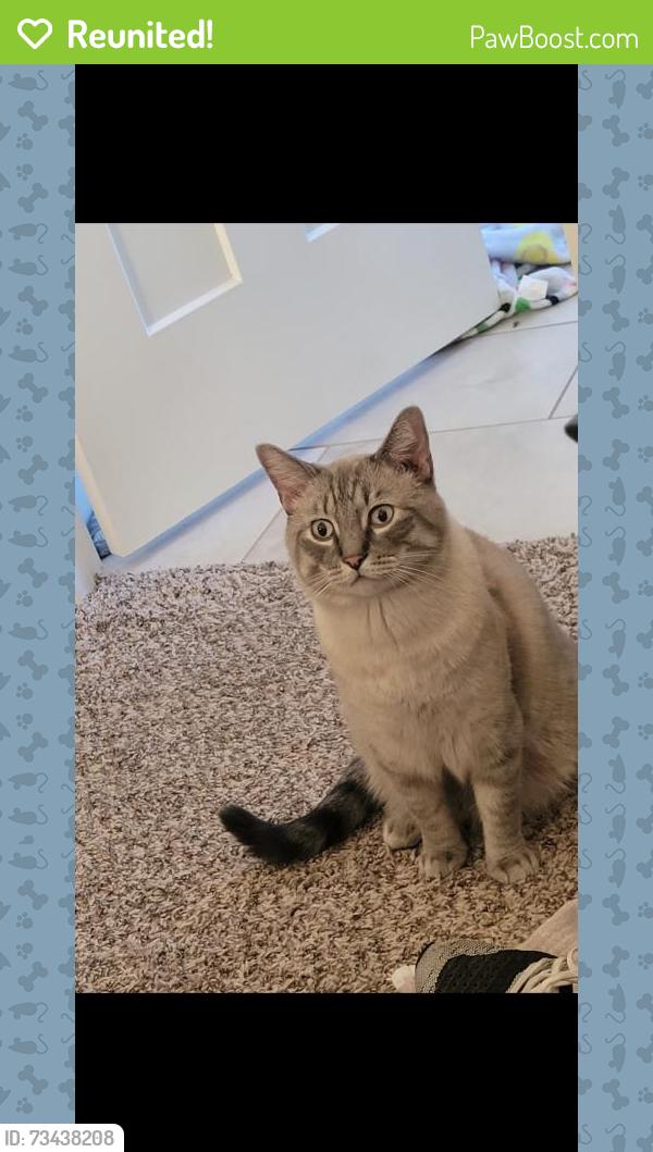 Reunited Male Cat last seen Northwood and Badger rd, Lynden, WA 98264