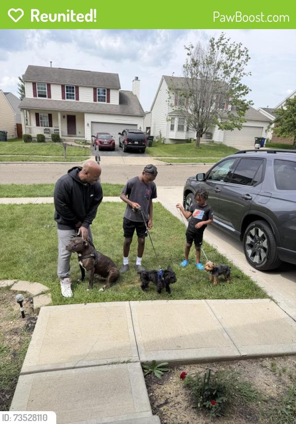 Reunited Male Dog last seen Noe Bixby and Hatfield, Columbus, OH 43232