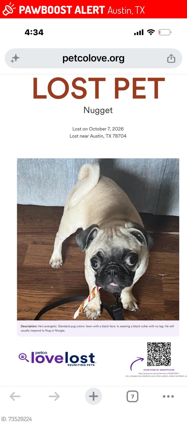 Lost Male Dog last seen Near flts Apts, Austin’s Roofing Company, Austin, TX 78704