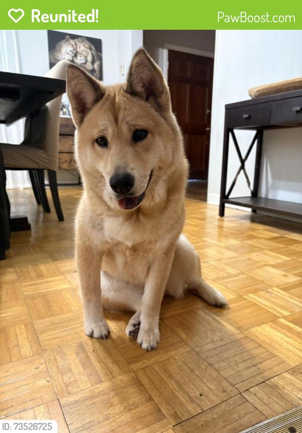 Reunited Female Dog last seen Near Roosevelt st la marque tx 77568, La Marque, TX 77568