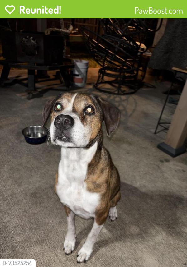 Reunited Female Dog last seen Clear creek meadows dr, League City, TX 77573