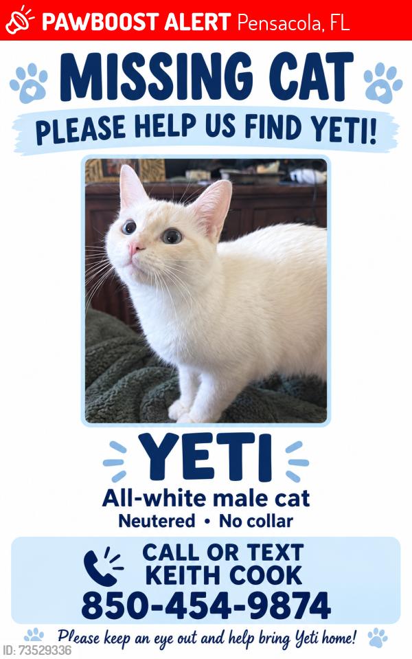 Lost Male Cat last seen Langley/audobon/long street, Pensacola, FL 32504
