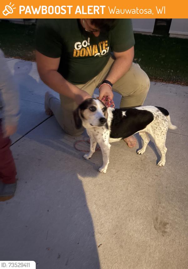 Found/Stray Unknown Dog last seen Wisconsim and 112, Wauwatosa, WI 53226