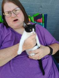 Found/Stray Female Cat last seen Near the new Publix on dogwood, Milton, FL 32570