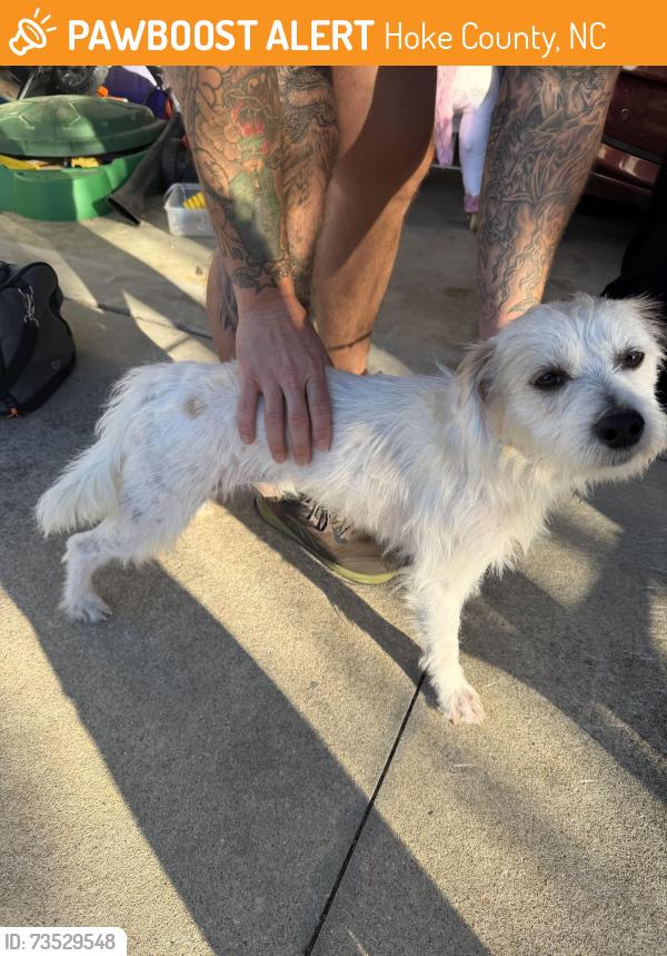 Found/Stray Male Dog last seen Westgate neighborhood, Hoke County, NC 28376