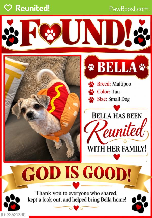 Reunited Female Dog last seen Queenstown Circle, Greensboro, NC 27407