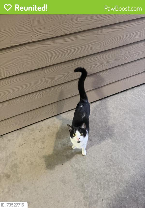 Reunited Male Cat last seen Near east Florida avenue, Denver, CO 80231