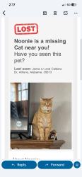 Lost Female Cat last seen Jamie lane and Caldera, Limestone County, AL 35613
