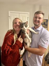 Reunited Male Cat last seen Lighthouse Lane and Bridgton Place Drive, Winston-Salem, NC 27127
