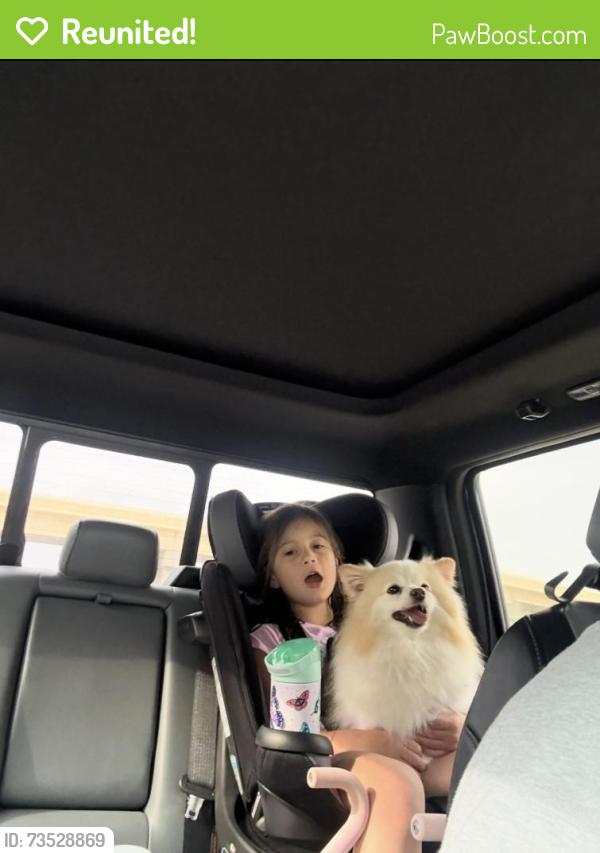 Reunited Female Dog last seen Oak Grove Road, Fort Worth, TX 76140