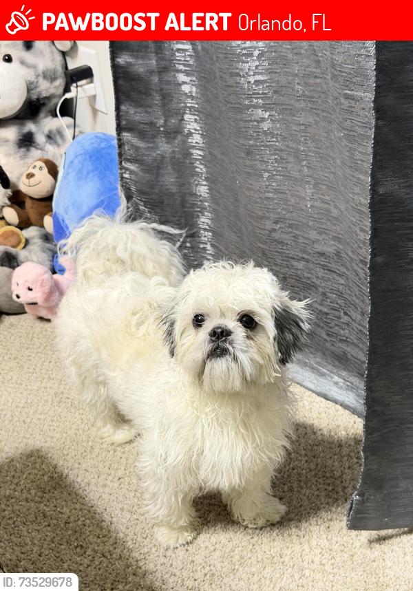Lost Male Dog last seen Semoran and Lake Underhill, Orlando, FL 32807
