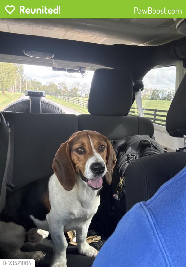 Reunited Male Dog last seen Briar hill and Royster road, Lexington, KY 40516