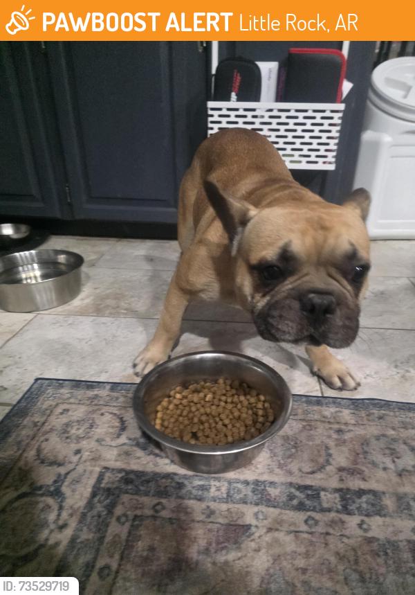 Found/Stray Male Dog last seen Crape Myrtle Place in Otter Creek neighborhood, Little Rock, AR 72210