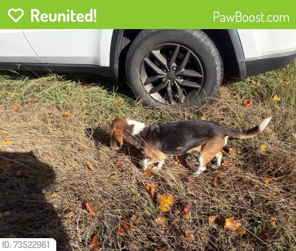 Reunited Male Dog last seen Bridge on Highway 64 and I85, Davidson County, NC 27292