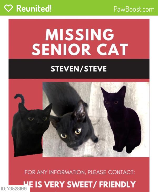 Reunited Male Cat last seen Near Valerio St, Van Nuys, CA 91405, USA, Los Angeles, CA 91405