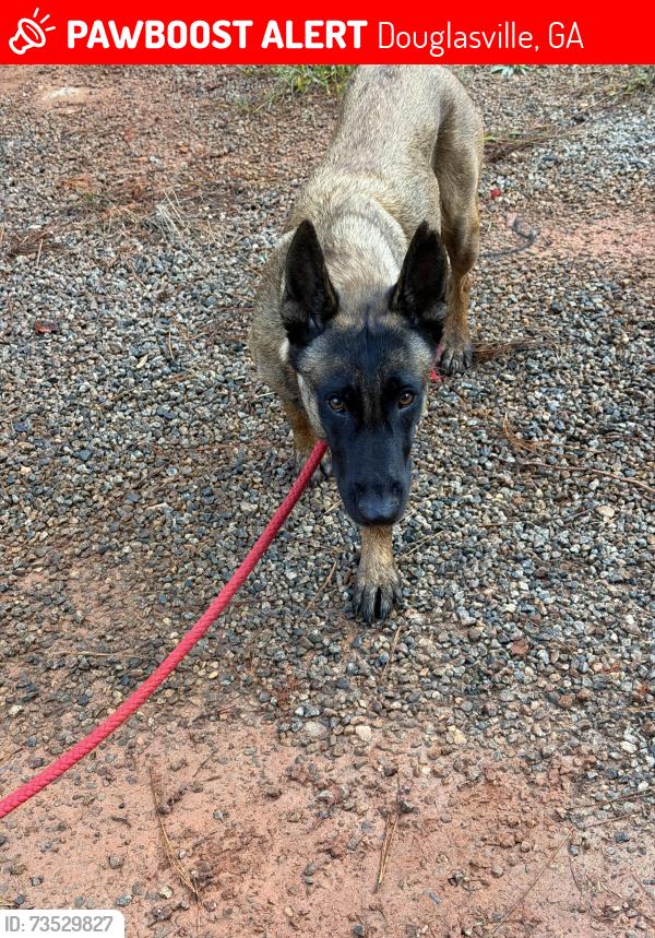 Lost Female Dog last seen Brittian rd, Douglasville, GA 30134
