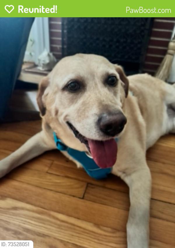Reunited Male Dog last seen David Caldwell dr and hill n dale dr, Greensboro, NC 27408