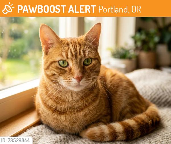 Found/Stray Unknown Cat last seen Near and SE Liebe, Portland, OR 97266