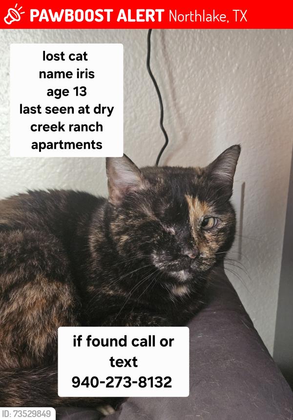 Lost Female Cat last seen Dry creek ranch apmts, Northlake, TX 76262