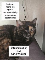 Lost Female Cat last seen Dry creek ranch apmts, Northlake, TX 76262
