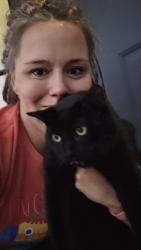 Reunited Male Cat last seen 91st and Sheridan, Tulsa, OK 74137