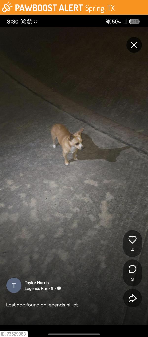 Found/Stray Male Dog last seen Legends hill drive, Spring, TX 77386
