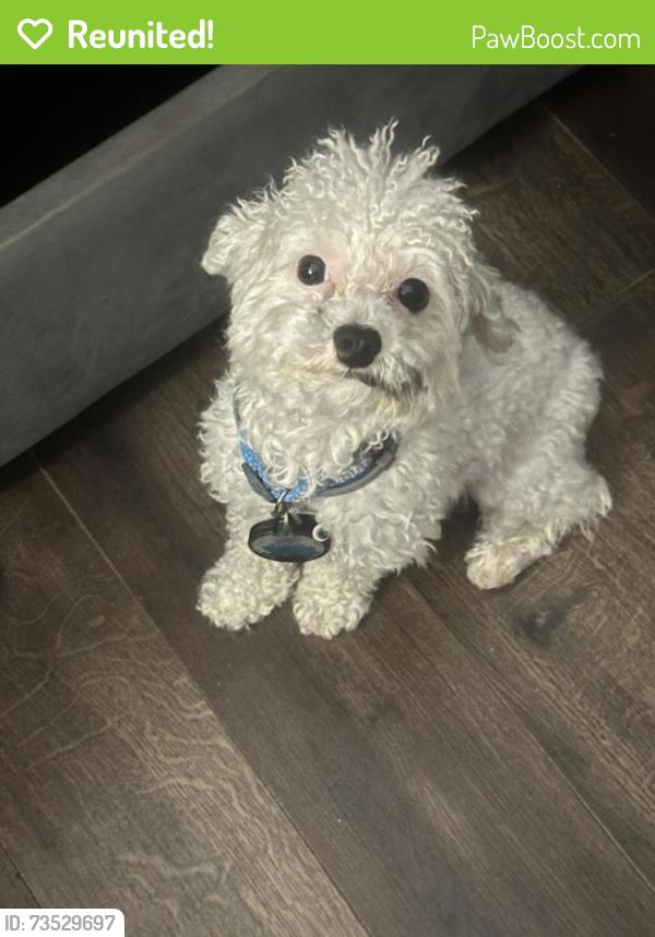Reunited Male Dog last seen Christopher Ct, Matawan, NJ 07747