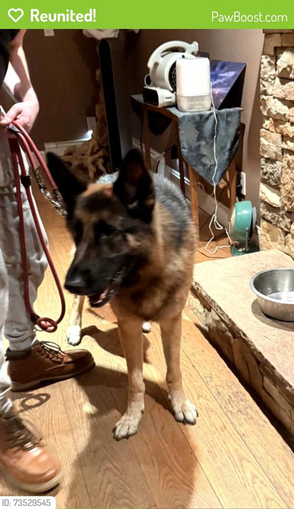 Reunited Male Dog last seen Premium point lane, Danbury, CT 06804