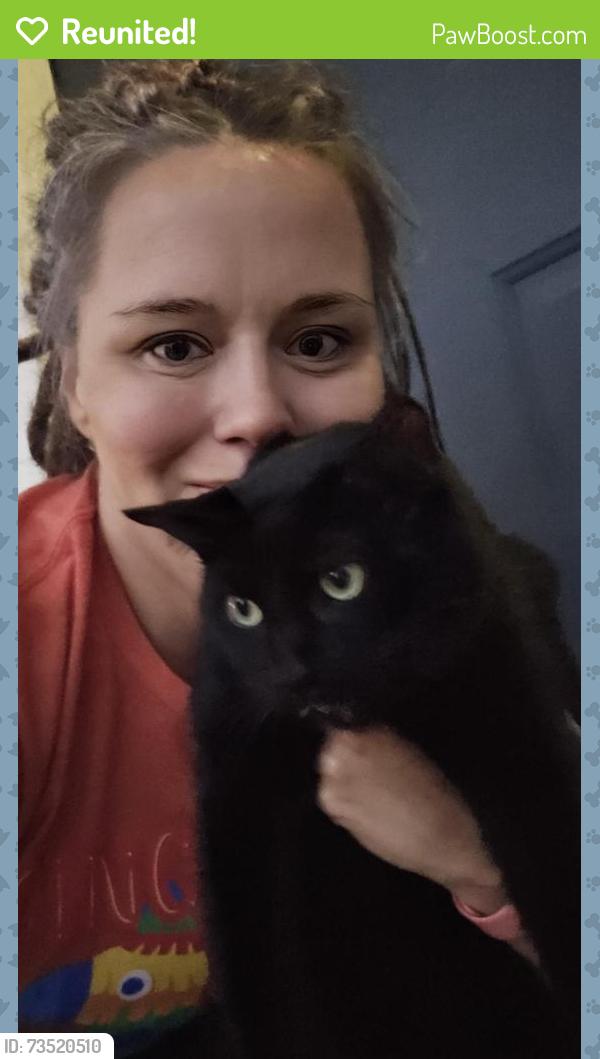 Reunited Male Cat last seen 91st and Sheridan, Tulsa, OK 74137