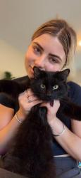 Reunited Male Cat last seen Jeanne Sauve French Immersion School, London, ON N6H 2B6