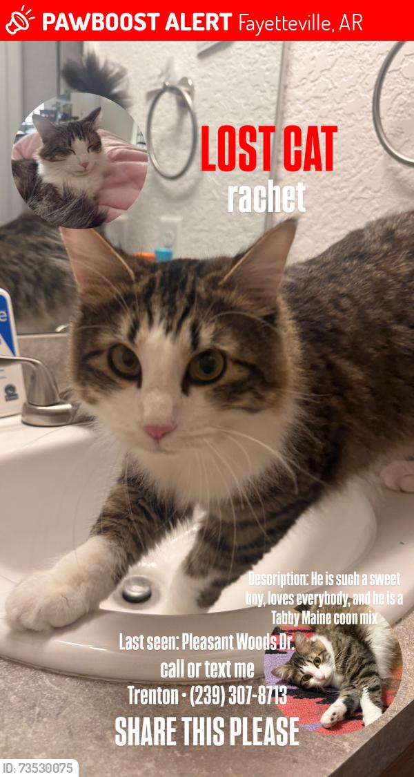 Lost Male Cat last seen Lewis Soccer Fields, Fayetteville, AR 72703