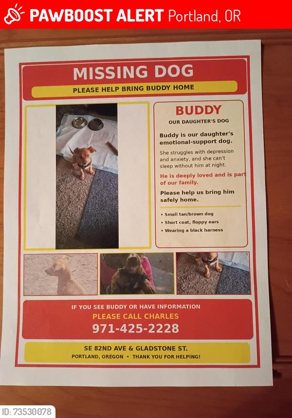 Lost Male Dog last seen SE 82nd Avenue & Gladstone, Portland, OR 97206