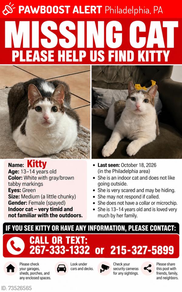 Lost Female Cat last seen Ardleigh St , near Acme, Philadelphia, PA 19118
