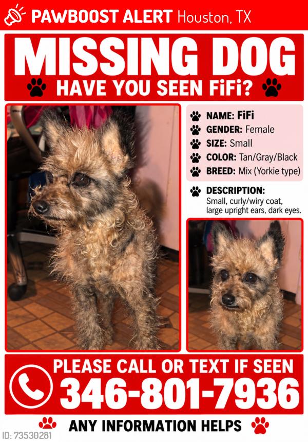 Lost Female Dog last seen Federal and dorwayne ct, Houston, TX 77015