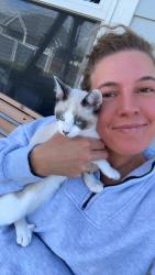 Reunited Male Cat last seen Delea Dr, Great Falls, MT 59404