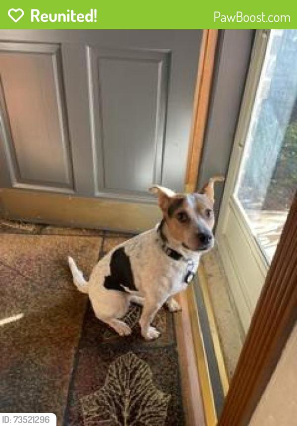 Reunited Female Dog last seen 112th & Rockwell, Oklahoma City, OK 73162