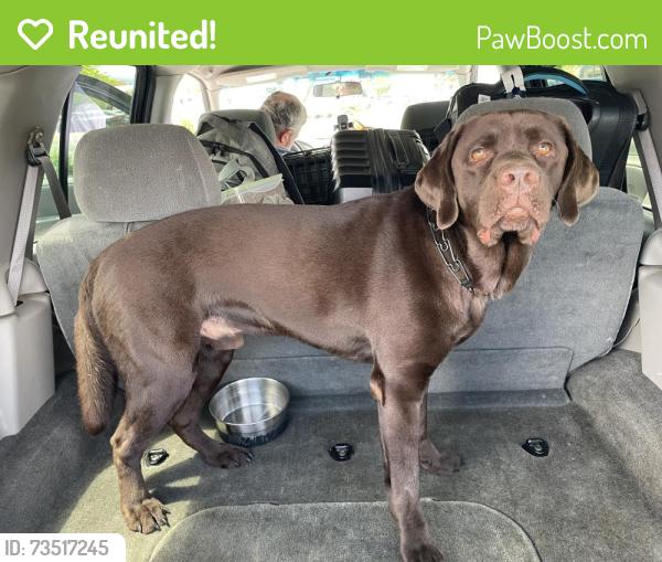 Reunited Male Dog last seen Forrest Ave & 2nd, Laurel, MT 59044