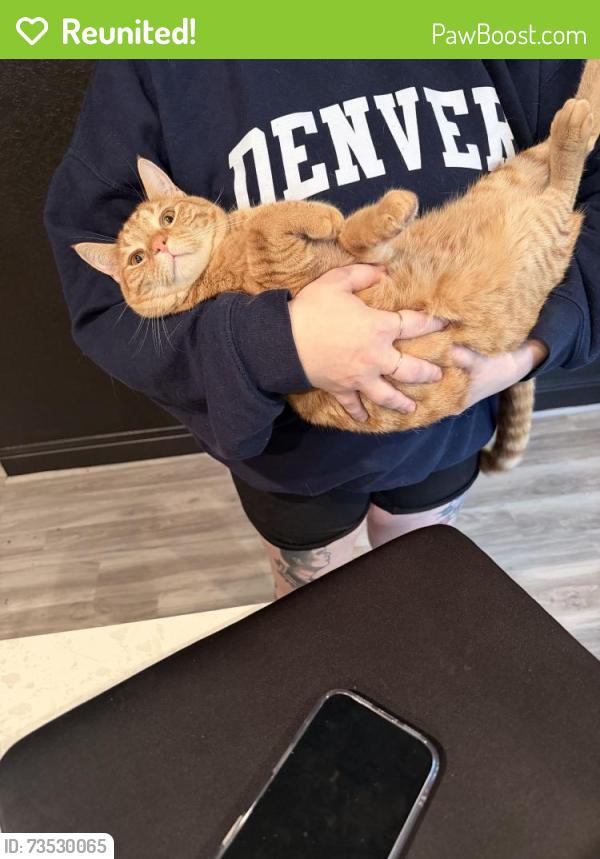 Reunited Male Cat last seen Near Straight Oaks, San Antonio, TX 78254, USA, San Antonio, TX 78254