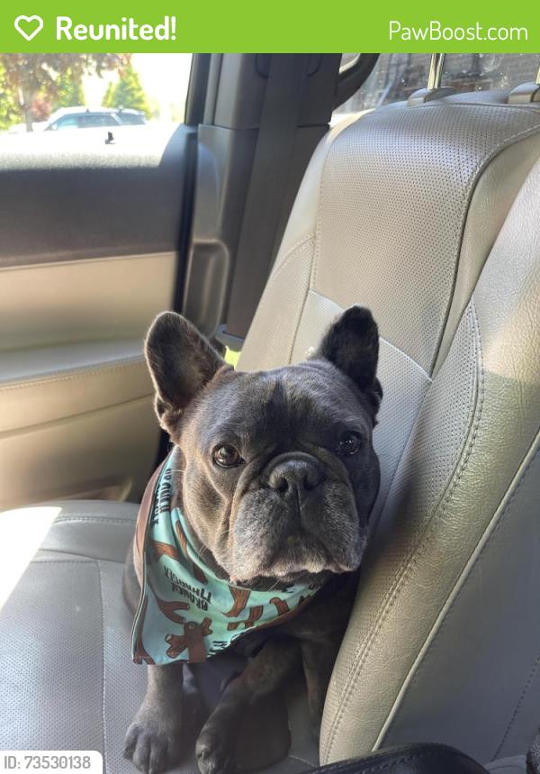 Reunited Male Dog last seen Near Parrish Lane and Centerville Elementary, Centerville, UT 84014