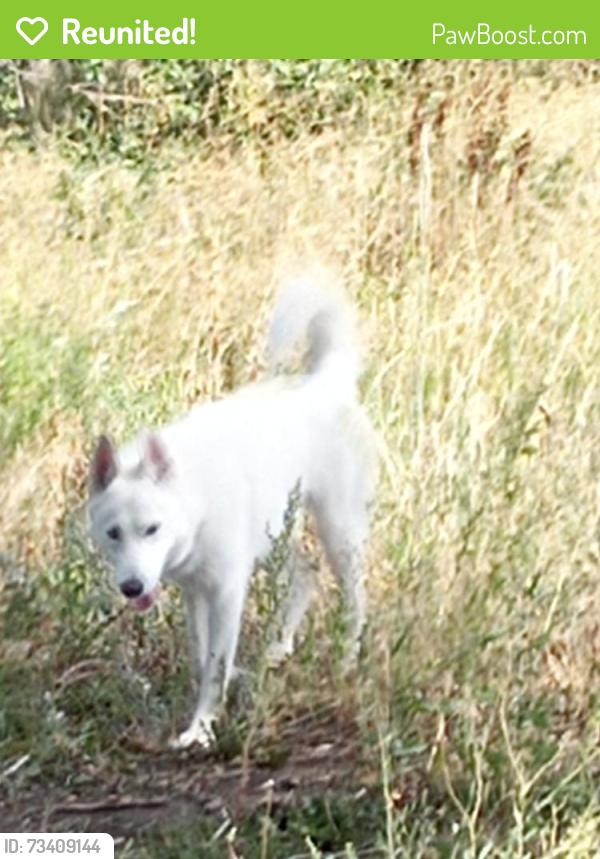 Reunited Male Dog last seen South frontage road & Zoo Drive, Billings, MT 59101