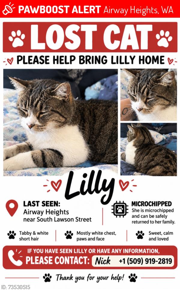 Lost Female Cat last seen S lawson, Airway Heights, WA 99001