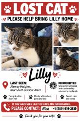 Lost Female Cat last seen S lawson, Airway Heights, WA 99001