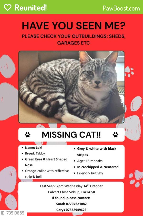 Reunited Male Cat last seen Calvert Close Sidcup DA14 5JL, Greater London, England DA14 5JL