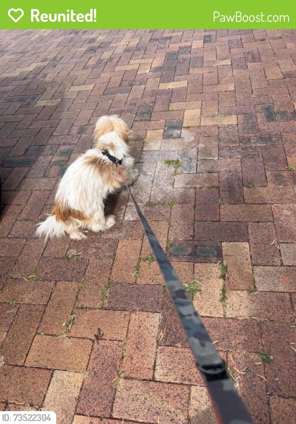 Reunited Unknown Dog last seen Vitko street, Woodridge, Woodridge, QLD 4114